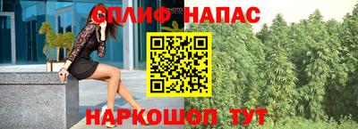 стафф Пенза