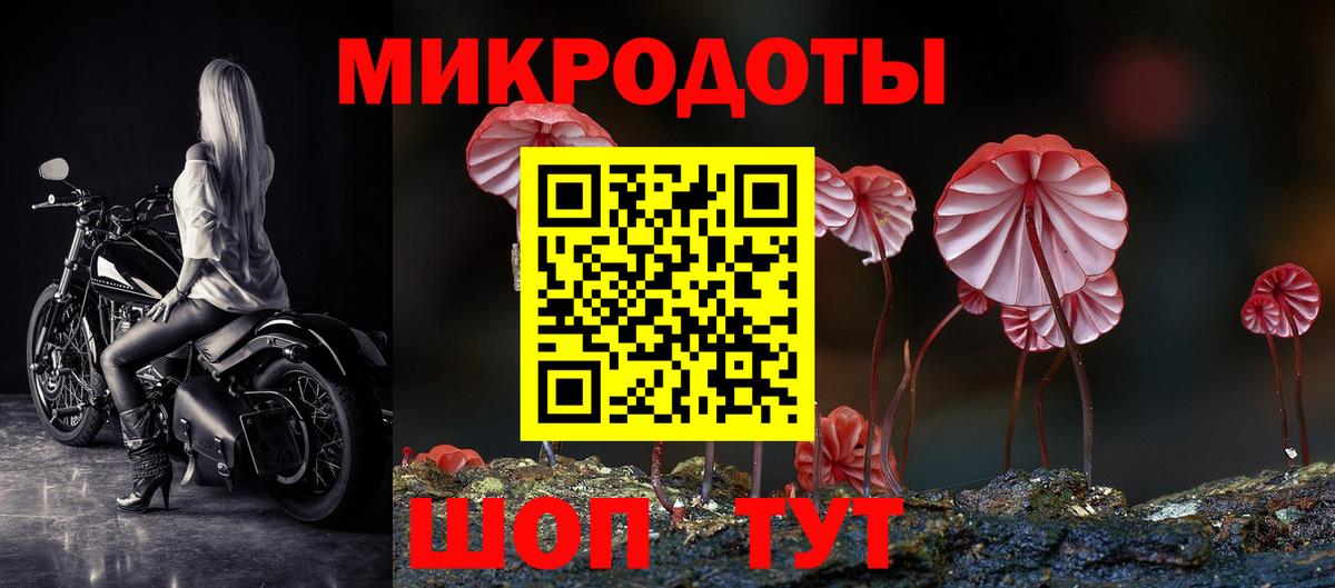 Псилоцибиновые грибы GOLDEN TEACHER  Псилоцибиновые грибы Psilocybe  Сердобск  даркнет сайт  Вход с VPN 